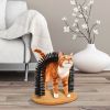 Cat Arch Self Groomer Cat Massaging Brush Scratching Pads Toys