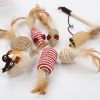 Cat Natural Sisal Wand Teasers and Exerciser for Kitten with Mouse Bell Feather etc. Cat Toy Collection in a Box