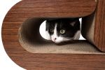 Pet Life Furrlax Ultra-Premium 2-In-1 Pill Shaped Modular Designer Cat Scratcher