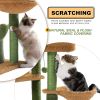 Cactus Cat Tree Cat Tower with Sisal Covered Scratching Post;  Cozy Condo;  Plush Perches and Fluffy Balls for Indoor Cats XH