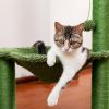 Cat Tree Scratcher Cactus With Cat Scratching Post Hammock Interactive Ball Green XH