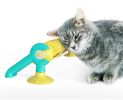 Pet Track Ball Cat Behavioral Training Toy Scratcher Interactive Toy Wall or Desktop Mount