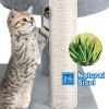 Cat Tree with Platform and Scratching Posts ; Cat Tower for Indoor Cats