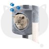 Cat Tree with Platform and Scratching Posts ; Cat Tower for Indoor Cats