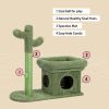 Cat Tree 27.6 inches with Cactus Scratching Posts; Creative Scratching Posts; Stylish Cat Tree; with Ball and Cat House Green