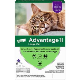 Advantage II Cat Large Purple 6-Pack