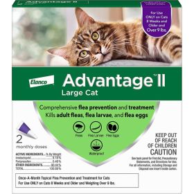 Advantage II Cat Large Purple 2-Pack