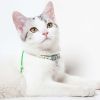 Touchcat Lucky Charms Designer Cable Necklace Cat Collar