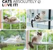 Cat Window Perch Foldable Hammock with Steel Frame and Strong Suction Cup Mount